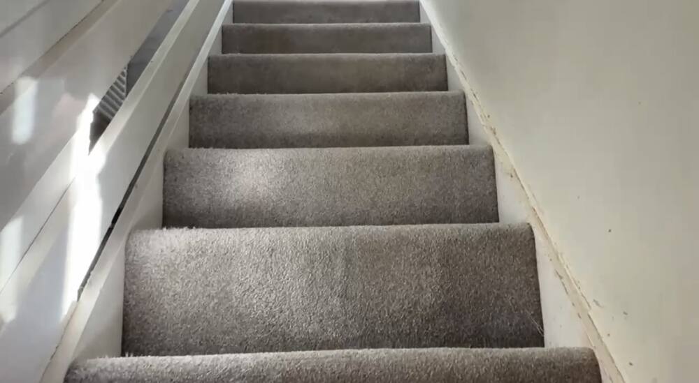 Stair carpet after cleaning